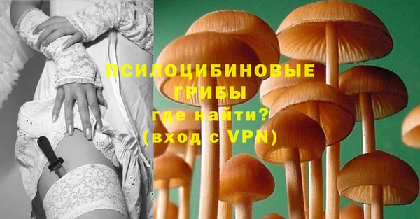 винт Абаза